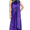 RG Costumes Womens Costumes Female Toga Costume (Long Dress)