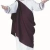 RG Costumes Caesar Toga Costume (Boys)