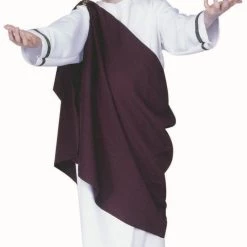 RG Costumes Caesar Toga Costume (Boys)