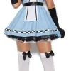 Elegant Moments Storybook Alice Costume Womens Costumes