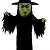 MaskUS Witch Mascot Costume (Thermolite)